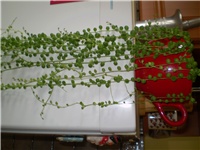 032d47d0-Picture 3872.jpg